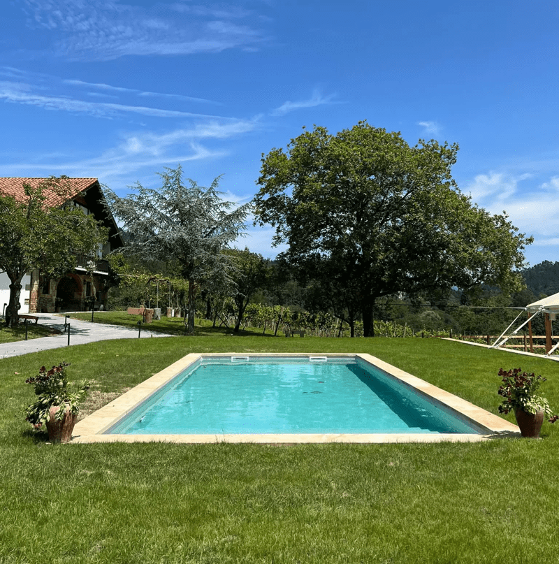 finca viñedos butron piscina